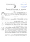 Vista preliminar de documento Resolución Directoral