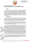 Vista preliminar de documento RD N° D000102-2020-DE.pdf