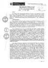 Vista preliminar de documento Resolucion-Directoral-Nro-384-2020-MINAGRI-PEBLT-DE.pdf