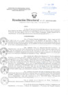 Vista preliminar de documento Resolución Directoral