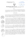 Vista preliminar de documento Resolución Directoral