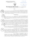 Vista preliminar de documento Resolución Directoral