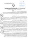 Vista preliminar de documento Resolución Directoral