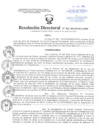 Vista preliminar de documento Resolución Directoral