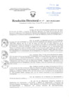Vista preliminar de documento Resolución Directoral