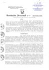 Vista preliminar de documento Resolución Directoral