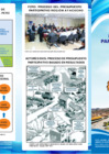 Vista preliminar de documento Tríptico - Presupuesto Participativo 2018