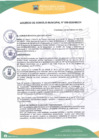 Vista preliminar de documento Acuerdo de Concejo Municipal