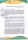 Vista preliminar de documento Acuerdo de Concejo Municipal