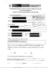 Vista preliminar de documento Consentimiento y Carga de la prueba.