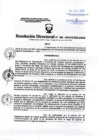 Vista preliminar de documento Resolución Directoral