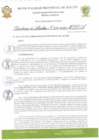 Vista preliminar de documento R.A. 294.pdf