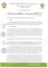 Vista preliminar de documento R.A. 295.pdf