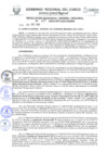 Vista preliminar de documento Resolución de Gerencia General
