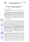 Vista preliminar de documento Resolución de Gerencia General