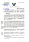 Vista preliminar de documento RD-293-11-2020.pdf