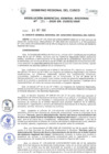 Vista preliminar de documento RGG.384.2020_compressed.pdf