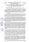 Vista preliminar de documento RGG.354.2020_compressed.pdf