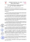 Vista preliminar de documento RGG.406.2020_compressed.pdf