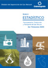 Vista preliminar de documento Boletín estadístico de Gas Natural III Trimestre - 2020