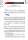 Vista preliminar de documento Resolución
