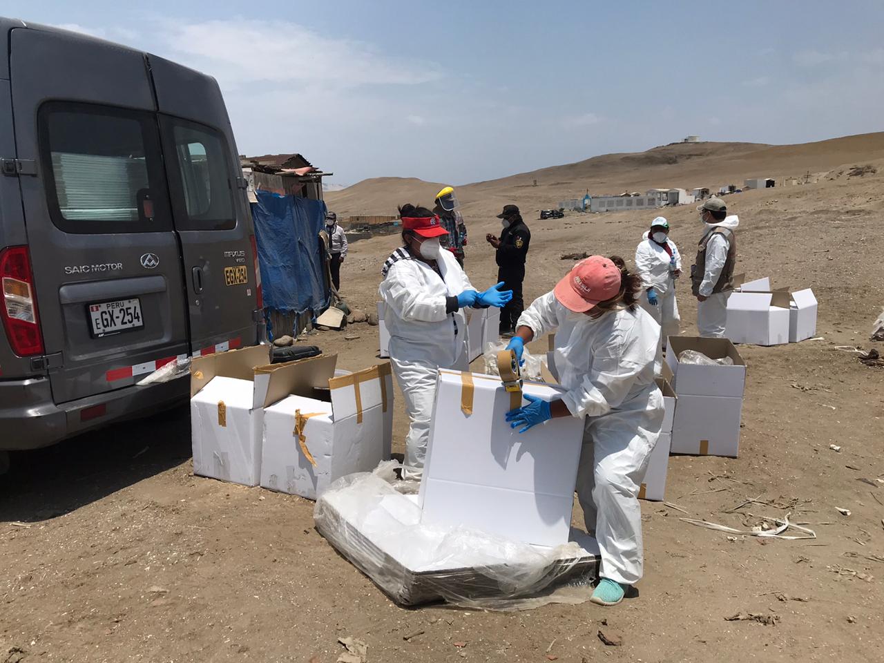 Ministerio de Cultura recuperó bienes culturales diseminados en la Zona Arqueológica Monumental de Caleta Vidal en Supe