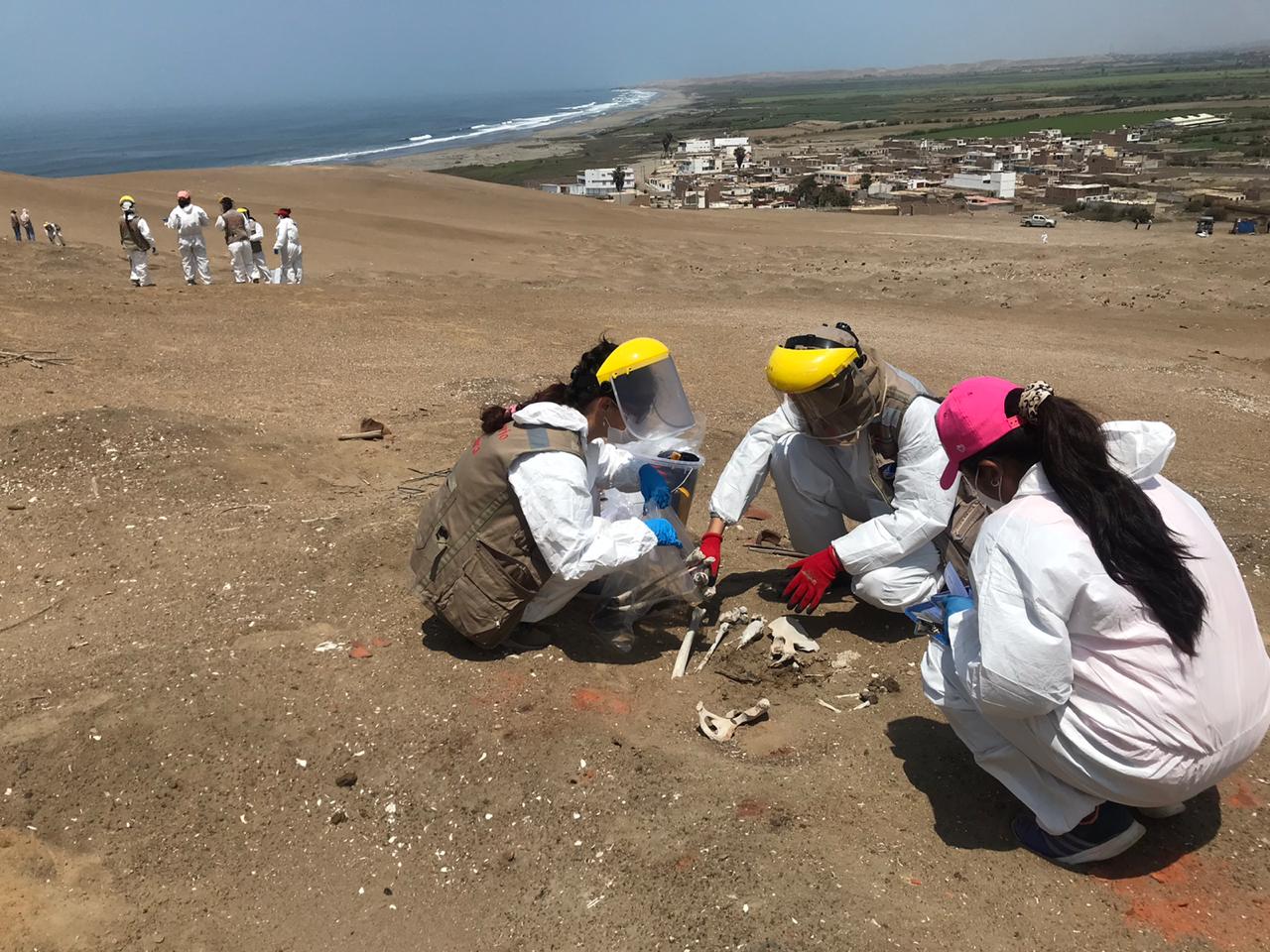 Ministerio de Cultura recuperó bienes culturales diseminados en la Zona Arqueológica Monumental de Caleta Vidal en Supe