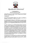 Vista preliminar de documento RD N° 455-2020-MTC/12