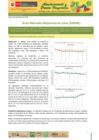 Vista preliminar de documento Boletín de Abastecimiento y Precios Mayoristas GMML y MM Nº 2 -01/12/20