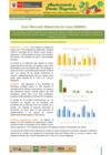 Vista preliminar de documento Boletín de Abastecimiento y Precios Mayoristas GMML y MM Nº 2 -03/12/20