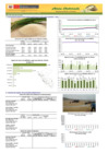 Vista preliminar de documento Boletín de abastecimiento y precio del ARROZ - 03/12/20