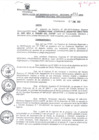 Vista preliminar de documento Directiva Regional 001-2013