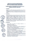 Vista preliminar de documento Directiva Regional 003-2014