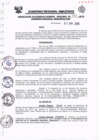 Vista preliminar de documento Directiva Regional 010-2015