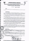 Vista preliminar de documento Directiva Regional 014-2017