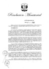 Vista preliminar de documento R.M. N° 264.pdf