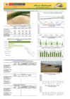 Vista preliminar de documento Boletín de abastecimiento y precio del ARROZ - 07/12/20