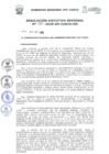 Vista preliminar de documento Resolución Ejecutiva Regional