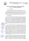 Vista preliminar de documento Resolución de Gerencia General