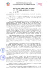 Vista preliminar de documento Resolución Directoral Regional