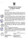 Vista preliminar de documento RER_779_2017.pdf