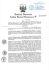 Vista preliminar de documento RP 390-2020.pdf