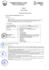 Vista preliminar de documento Perfiles