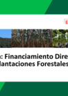 Vista preliminar de documento Programa de Financiamiento Directo para Plantaciones Forestales.pdf