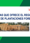 Vista preliminar de documento Ventajas que ofrece el Registro Nacional de Plantaciones Forestales