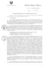 Vista preliminar de documento R.E.R. Nro 399-2020-GR-GR PUNO.pdf