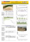 Vista preliminar de documento Boletín de abastecimiento y precio del ARROZ - 09/12/20