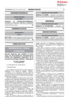 Vista preliminar de documento DS-193-2020-PCM.pdf