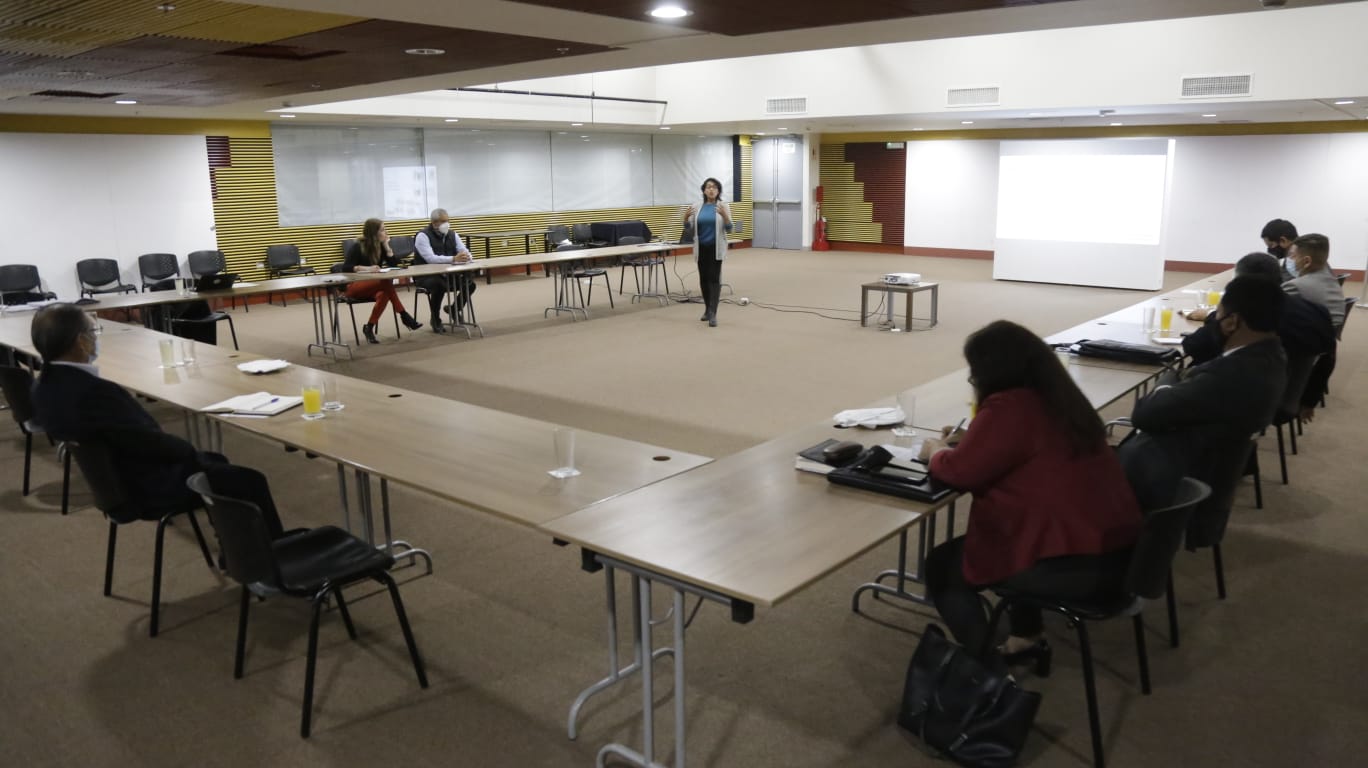 Ministerio de Cultura se reúne con presidente de la Comisión de Cultura y equipo técnico para presentar diversos temas del sector