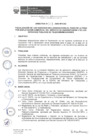 Vista preliminar de documento Directiva N° 001-2020-MTC/03